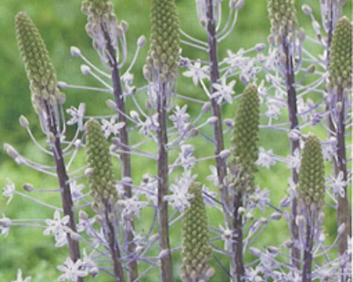 e80cde1081073ed7001cc50ca93c76