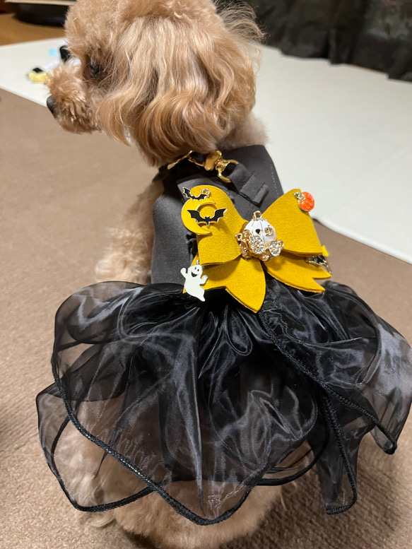 ハーネス超小型犬　ハロウィン(送料無料) 6枚目の画像