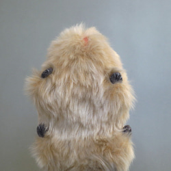 受注制作 >> PEPOSO: furry animals "marmot" モルモット 7枚目の画像