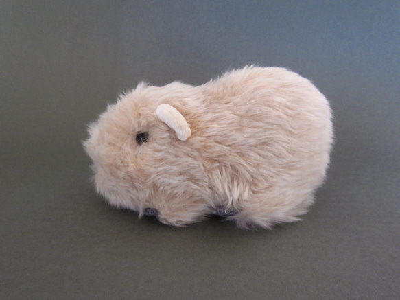 客製化&gt;&gt; PEPOSO：毛茸茸的動物「土撥鼠」豚鼠 第3張的照片