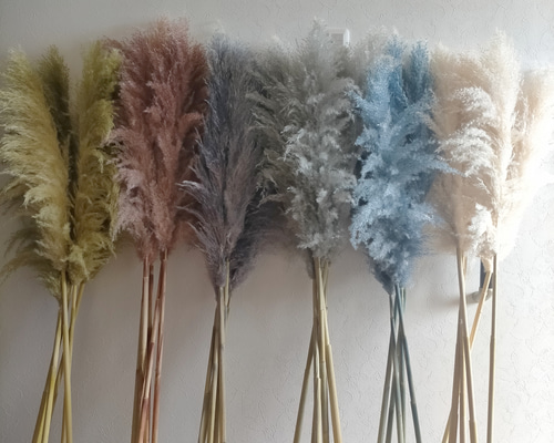 62a5954804a2f4d9ccc2ca014d1b85