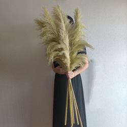 7cb2c374d3d83922f36e6e092184c3