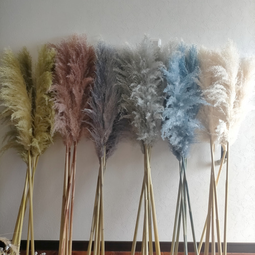 秋冬新作2025パンパスグラス モスグリーン3本 秋冬 ドライフラワー