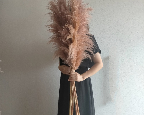 4bffc1d85e93c4af7c60579107a9a8