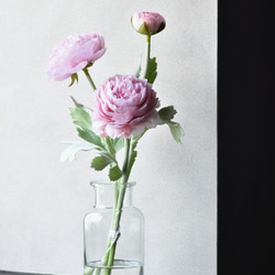 咲き続けるピンクのラナンキュラスのマジカルウォーター　　癒しのフラワーインテリア 3枚目の画像
