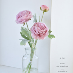 咲き続けるピンクのラナンキュラスのマジカルウォーター 癒しの