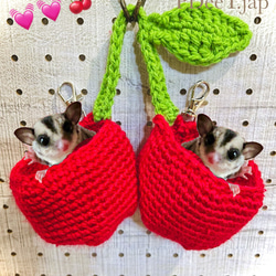 89a3cb1114f08f6b26e08485ad8bb7