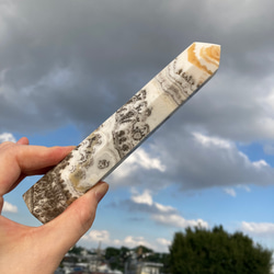 【自然の絵画】デンドリティックカルサイトタワー cc23694a689c49259fa1c5149669ed