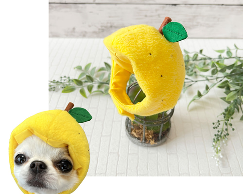 ゆずの被り物 ペット服・アクセサリー NANA☆PARU 通販 16628153