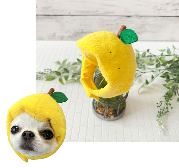 犬服・アクセサリー Yuu ゆずの被り物 ペット服・アクセサリー NANA☆PARU 通販 16628153