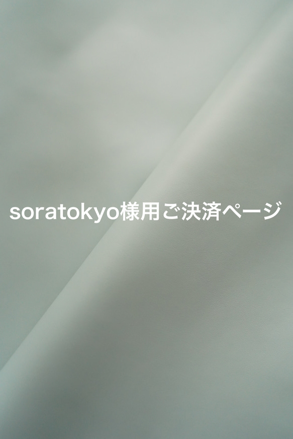 soratokyo様用ご決済ページ 1枚目の画像