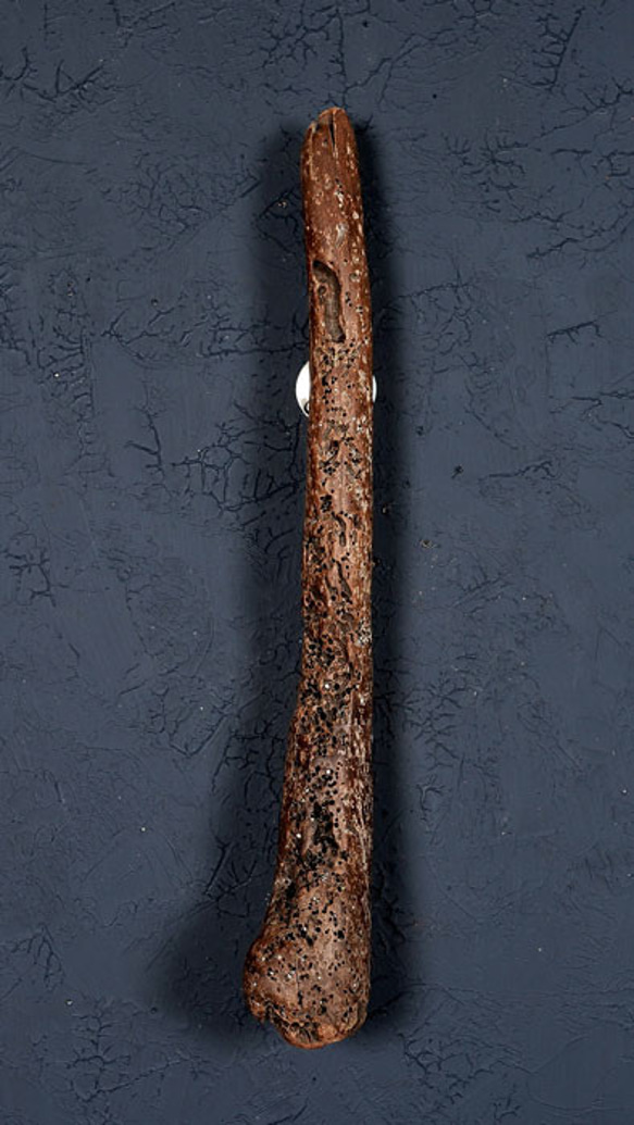 ✿個性ある✿ 流木ドア取っ手・流木ドアノブ・手すり・ 木製ドア取っ手・木製ドアノブ・木製ドアハンドル・木の手すり－２２ 2枚目の画像