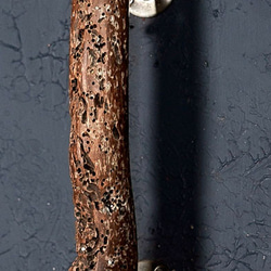 ✿個性ある✿ 流木ドア取っ手・流木ドアノブ・手すり・ 木製ドア取っ手・木製ドアノブ・木製ドアハンドル・木の手すり－２２ 6枚目の画像