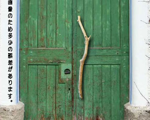 b45479b2a669924a890d827d6032d1