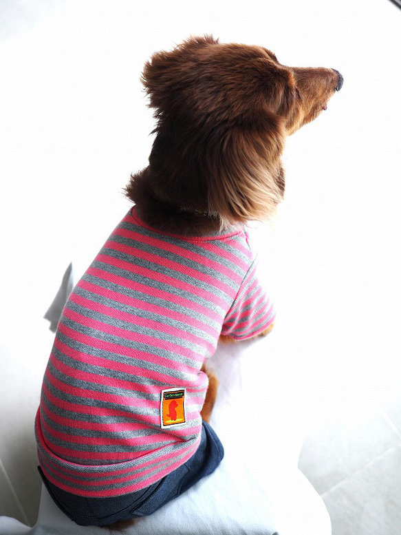 犬服　手作りのおててがかわいく見える袖付きカットソー+パンツ　赤ボーダー 4枚目の画像