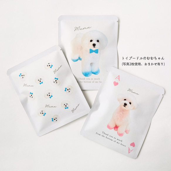 《うちの子×COFFEE》写真からつくるオリジナルギフト[送料無料]５個〜/愛犬/愛猫/ペット/母の日/グッズ/オーダー 16枚目の画像