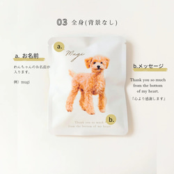 《うちの子×COFFEE》写真からつくるオリジナルギフト[送料無料]５個〜/愛犬/愛猫/ペット/母の日/グッズ/オーダー 6枚目の画像