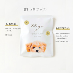 《うちの子×COFFEE》写真からつくるオリジナルギフト[送料無料]５個〜/愛犬/愛猫/ペット/母の日/グッズ/オーダー 4枚目の画像