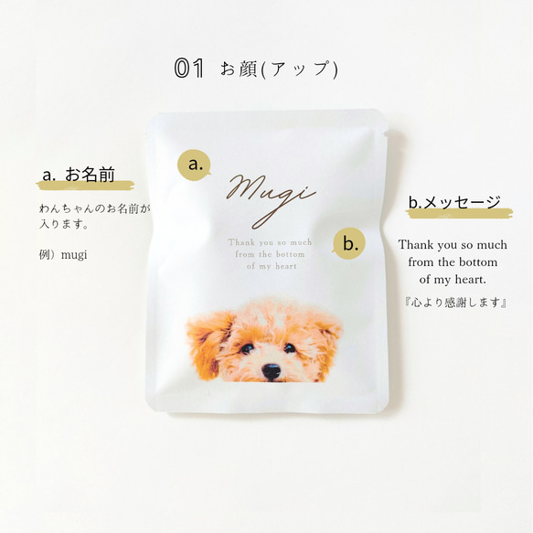 《うちの子×COFFEE》写真からつくるオリジナルギフト[送料無料]５個〜/愛犬/愛猫/ペット/母の日/グッズ/オーダー 4枚目の画像