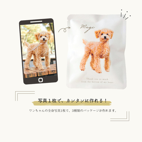 《うちの子×COFFEE》写真からつくるオリジナルギフト[送料無料]５個〜/愛犬/愛猫/ペット/母の日/グッズ/オーダー 2枚目の画像