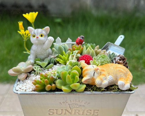 7061c88ac465ba940852b44b87d440