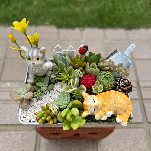 ☆送料無料☆♡そのまま飾れる♡仲良しねこちゃんのガーデン♬箱庭風