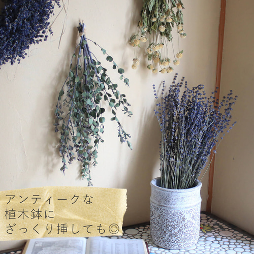 北海道産ラベンダー おかむらさき（ドライフラワー/素材）香りが