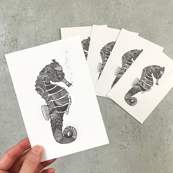 年賀状／タツノオトシゴのポストカードセット 5枚組 2024干支 ポスト