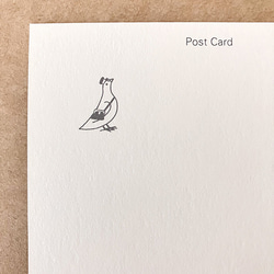 文文（フミフミ）ポストカード2枚セット 4枚目の画像