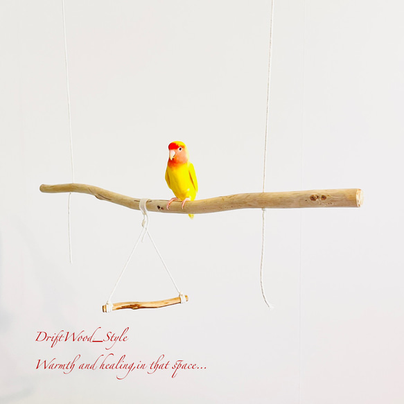 流木インテリア  シンプルな天然流木の小鳥の止まり木 吊り下げタイプ インコ 鳥 ブランコ 自然木 No.23 1枚目の画像