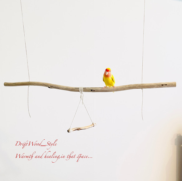 流木インテリア  シンプルな天然流木の小鳥の止まり木 吊り下げタイプ インコ 鳥 ブランコ 自然木 No.23 3枚目の画像