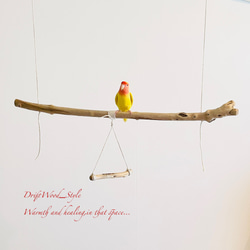 流木インテリア  シンプルな天然流木の小鳥の止まり木 吊り下げタイプ インコ 鳥 ブランコ 自然木 No.24 3枚目の画像