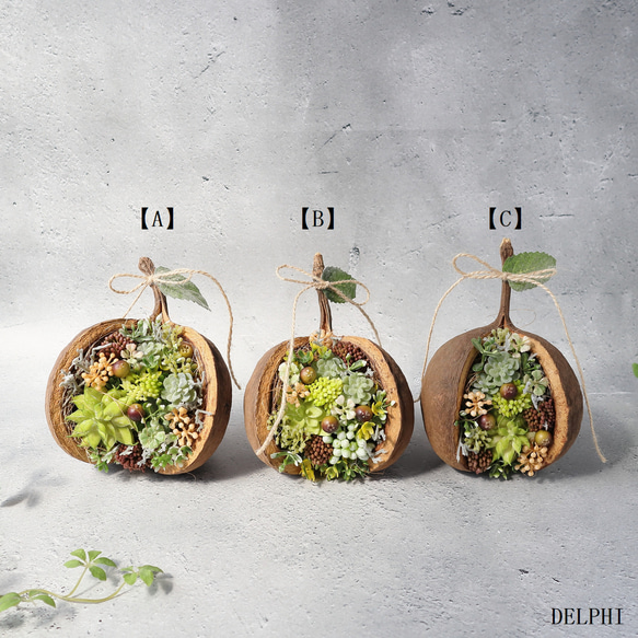 【C】ブッダナッツのアレンジメント（多肉植物）【C】【アーティフィシャルフラワー/造花】フェイクグリーン　ボタニカルイン 3枚目の画像