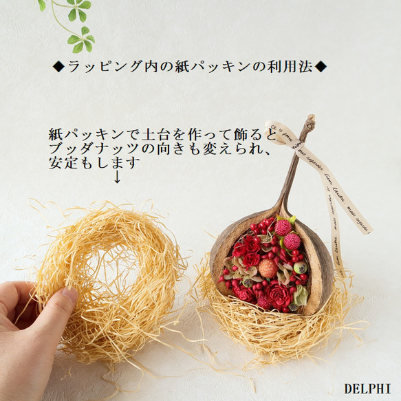 【C】ブッダナッツのアレンジメント（多肉植物）【C】【アーティフィシャルフラワー/造花】フェイクグリーン　ボタニカルイン 7枚目の画像
