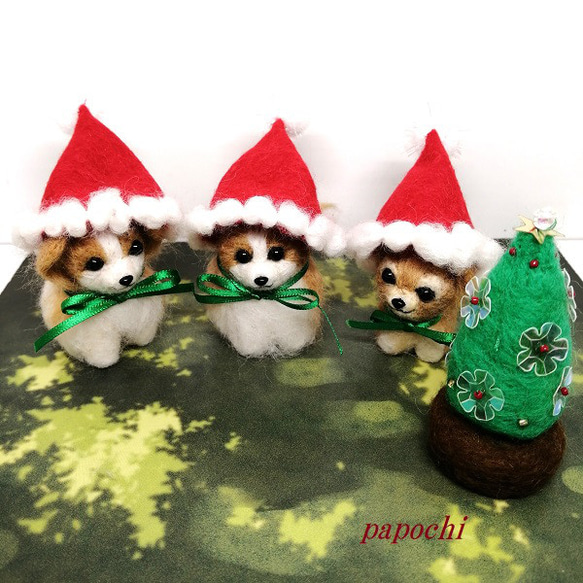 パポチのクリスマス 2枚目の画像