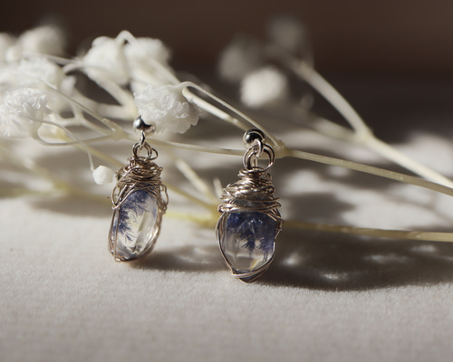 a29a044a7bf6644ba4047c7c0b3a4c