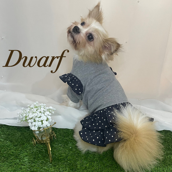 犬服 ドット柄フリルワンピース【ハンドメイド】 【公式通販】