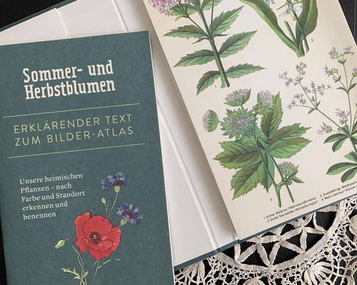 ドイツ アンティーク 即販用のカタログ Musterbuch ueber