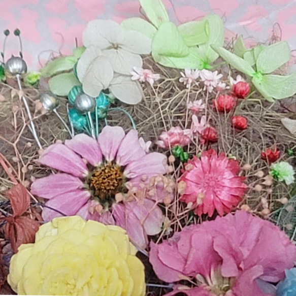 ドライフラワー花材(花色) 6枚目の画像