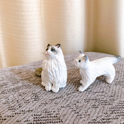 モ様専用ページ　ラグドール　2匹セット　猫　フィギュア　置物　オブジェ 4枚目の画像