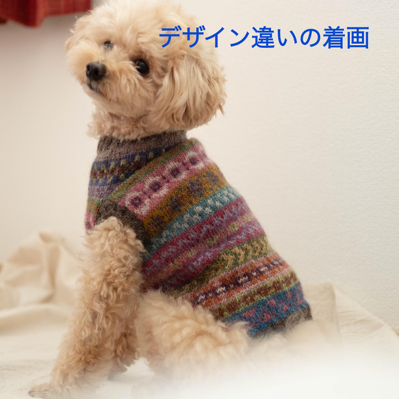 お値下げ！★犬服♪本格的フェアアイルセーター　一点物！カラフルなウール100％手編みセーター　小型犬用　③ 7枚目の画像