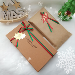 ⭐︎さま専用（クリスマスラッピング付き） クリスマス ラッピング袋 Mサイズ50枚入り Lサイズ25枚入り 巾着