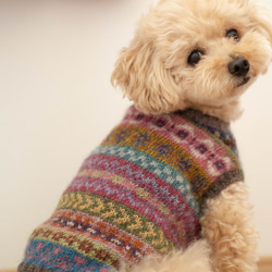 お値下げ！★犬服♪本格的フェアアイルセーター　一点物！カラフルなウール100％手編みセーター　小型犬用　⑥ 1枚目の画像