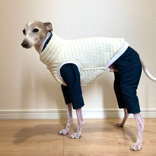 イタグレ服 キルトニットベスト ペット服・アクセサリー pinochle 通販