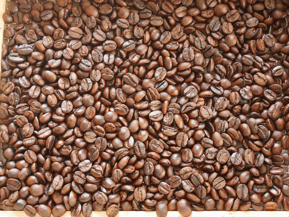 【Nori’s coffee】 ノリズコーヒー　送料無料！￥500　自家焙煎のスペシャリティコーヒー豆　60g　 2枚目の画像
