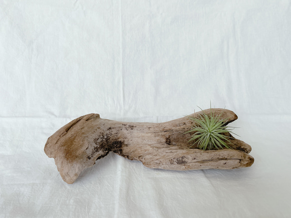 希少　置物　木　オブジェ　木製　流木　インテリア　骨董品 希少 置物 木 オブジェ 木製 流木 インテリア 骨董品 - メルカリ