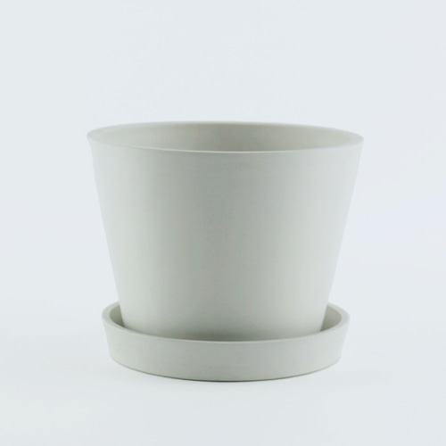 259 希少 パキラムーンライト 曲がり 観葉植物 室内 その他インテリア