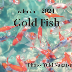 2024年 金魚 卓上カレンダー　2024 Gold Fish　 1枚目の画像