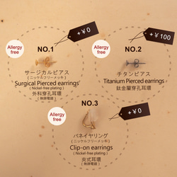 淡水パールのピアス／イヤリング | 品質AA+ 6枚目の画像