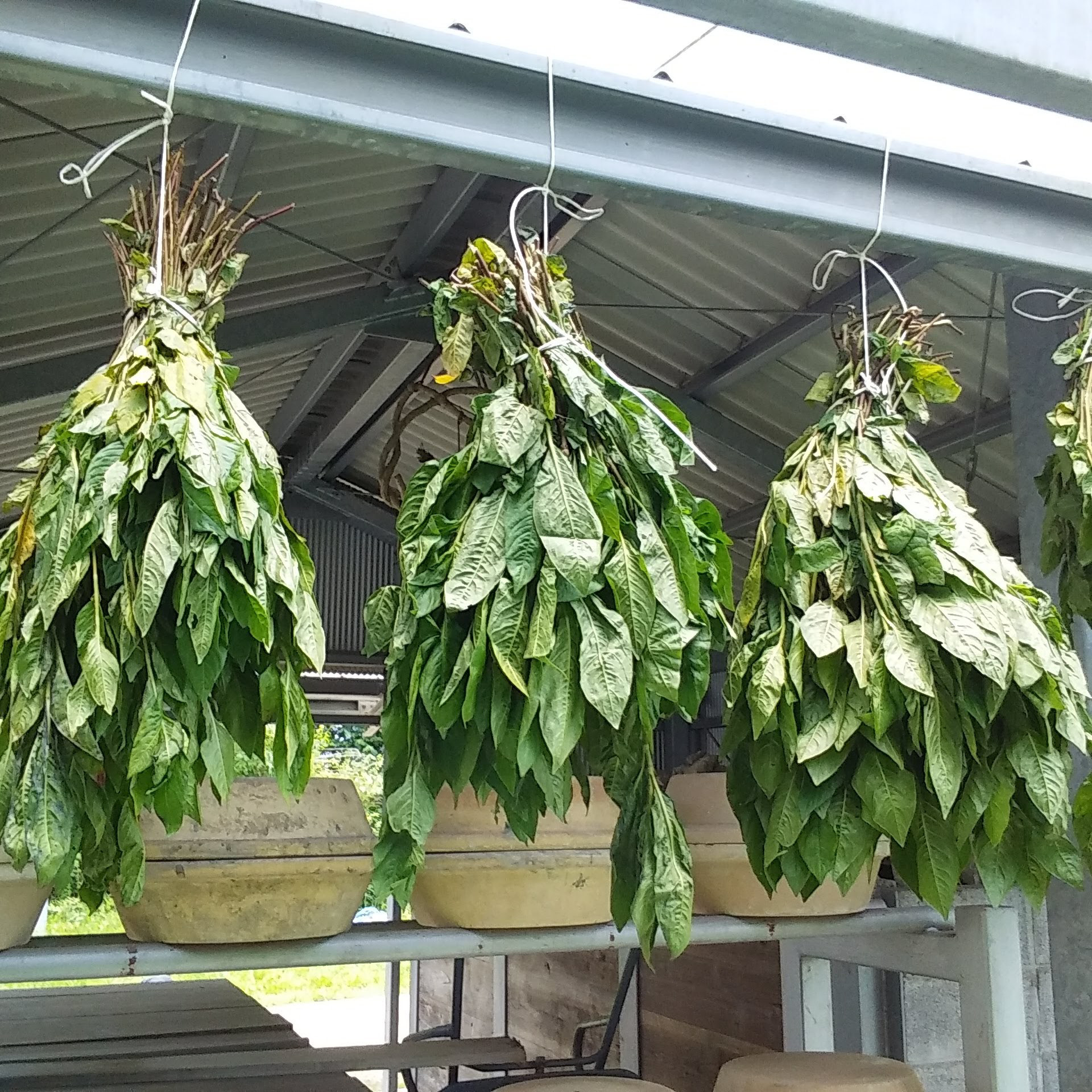 備前焼  デニム備前 カップ&ソーサー  ブルー② 新作 Creema限定　備前焼緋襷藍釉